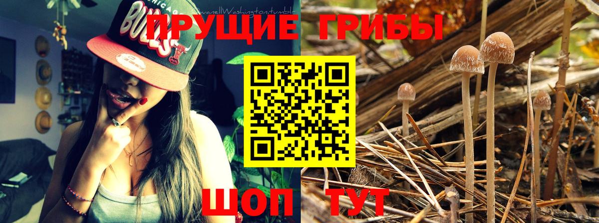 Галлюциногенные грибы GOLDEN TEACHER  Псилоцибиновые грибы мухоморы  Сегежа  Вход с VPN 